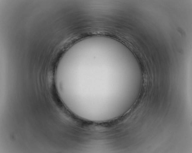 X0000113300648200909140946