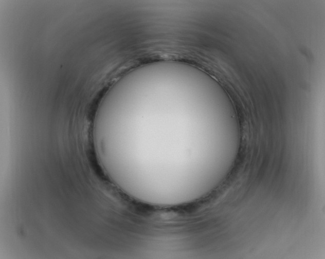 X0000113300650200909140946