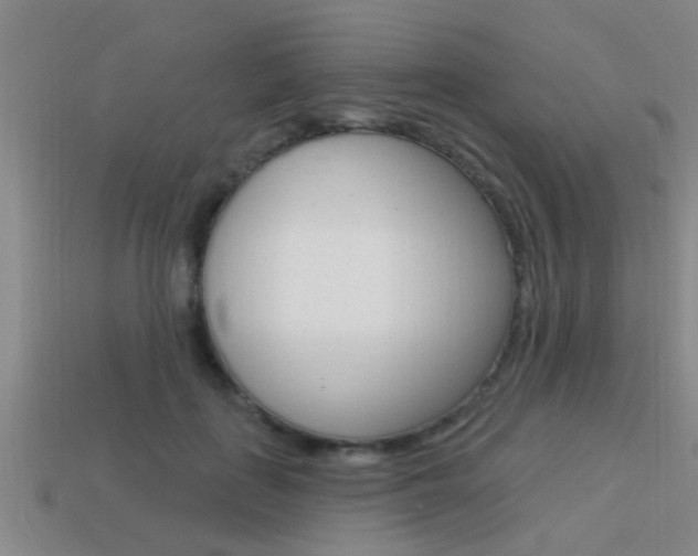 X0000113300651200909140946