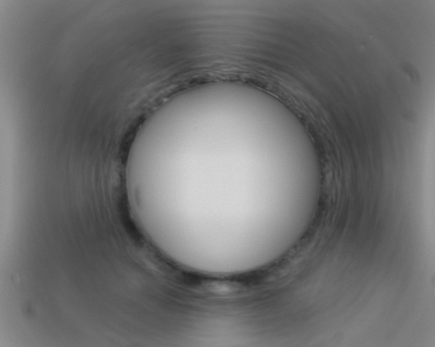 X0000113300654200909140946