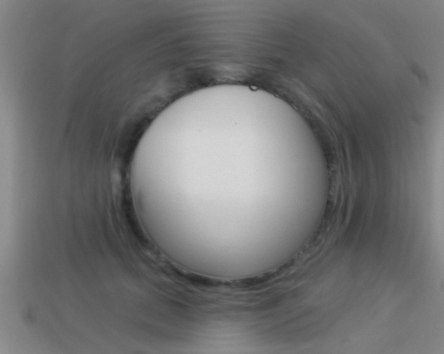 X0000113300655200909140946