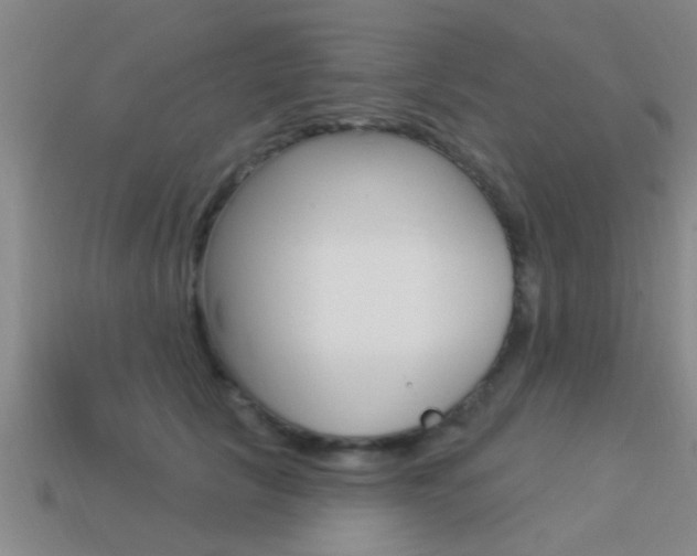 X0000113300657200909140946