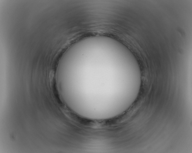 X0000113300660200909140946