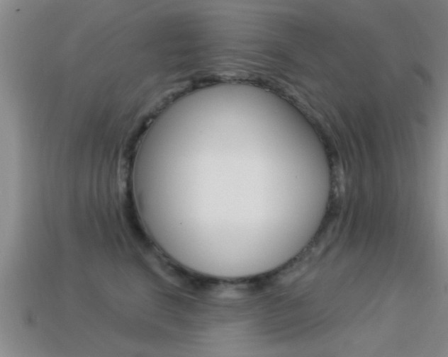 X0000113300664200909140946