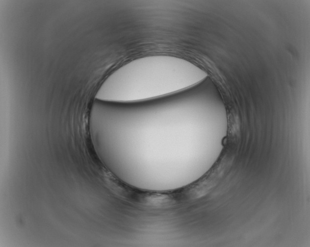 X0000113300669200909140946