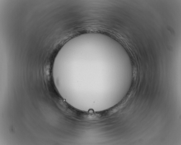 X0000113300670200909140946