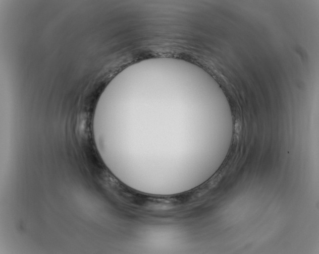 X0000113300671200909140946