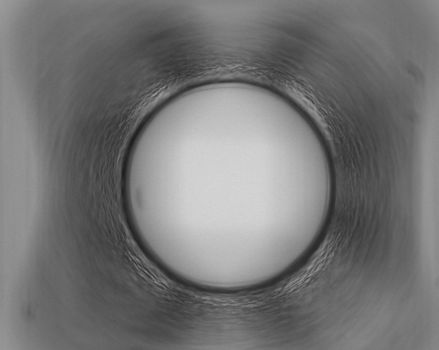 X0000113300673200909140946