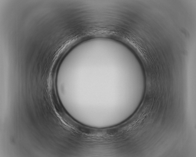 X0000113300674200909140946