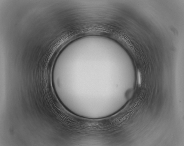 X0000113300675200909140946