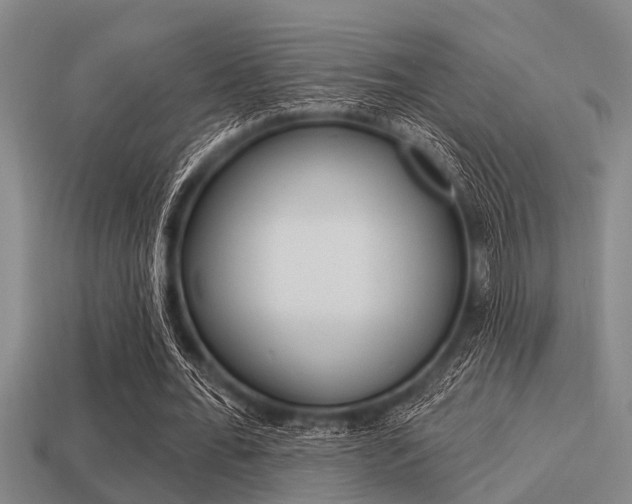 X0000113300676200909140946