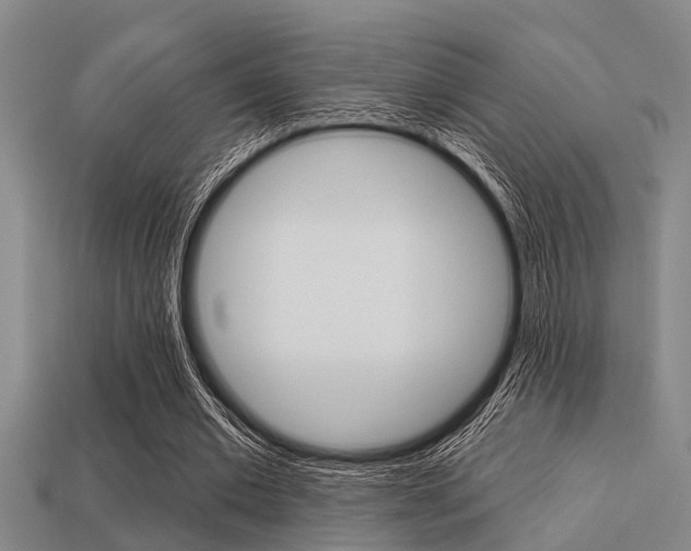 X0000113300677200909140946