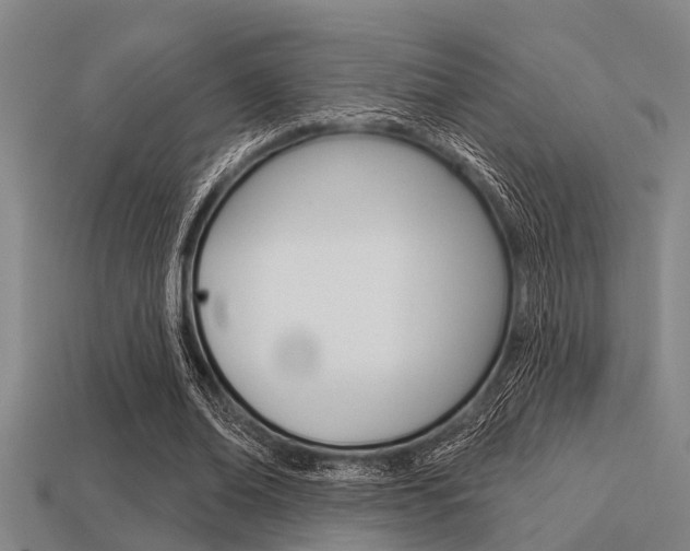 X0000113300678200909140946