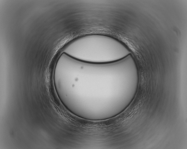 X0000113300679200909140946