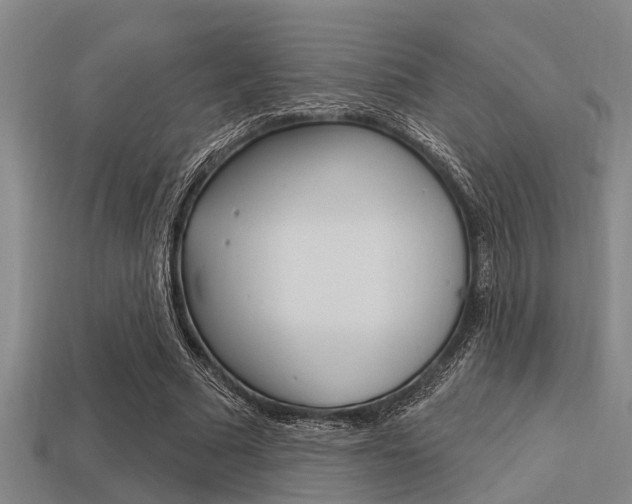 X0000113300681200909140946