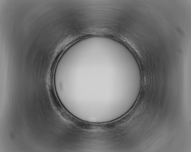 X0000113300682200909140946