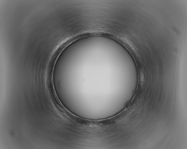 X0000113300684200909140946