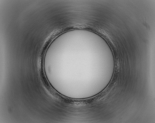 X0000113300686200909140946