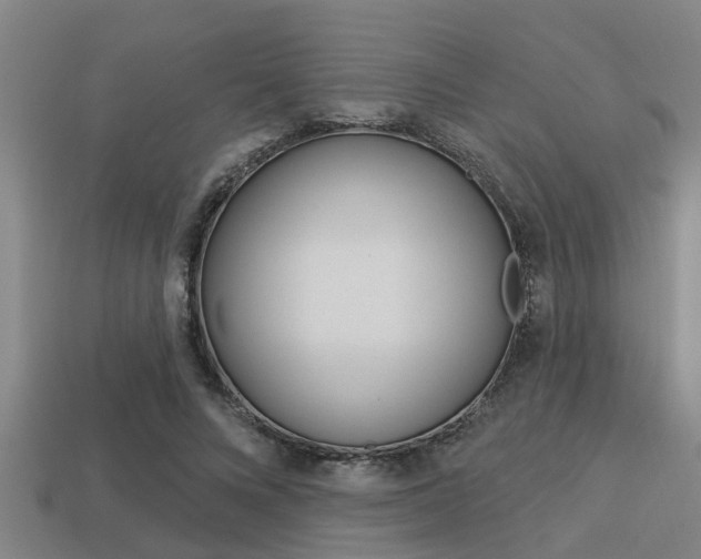 X0000113300688200909140946