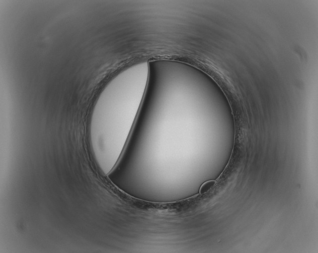 X0000113300689200909140946
