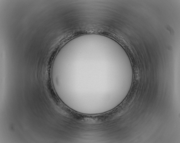 X0000113300690200909140946