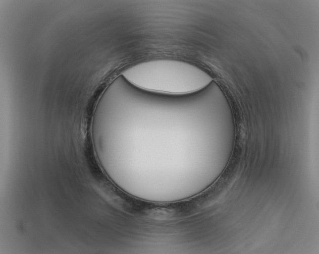 X0000113300691200909140946