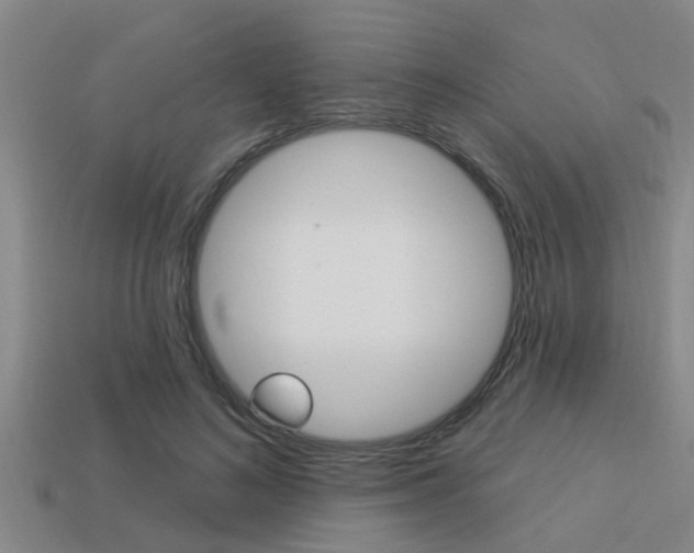 X0000113300692200909140945