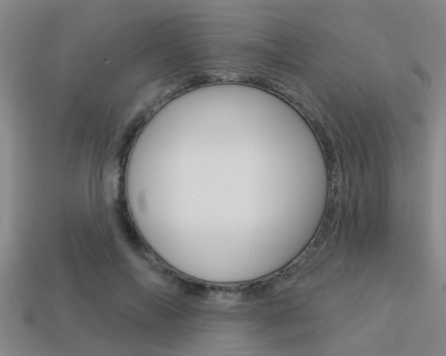X0000113300694200909140945