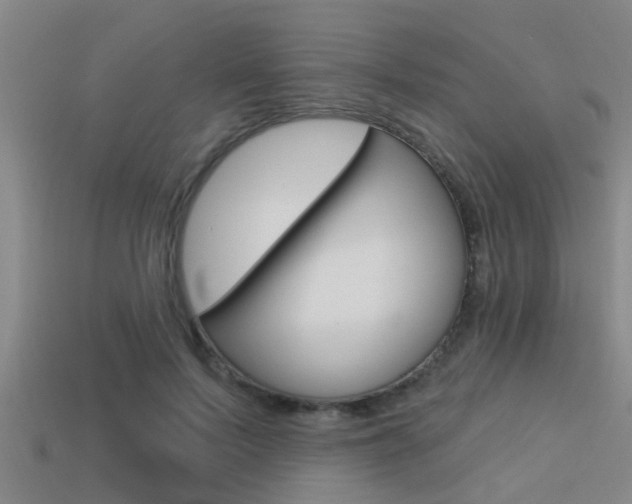 X0000113300695200909140945