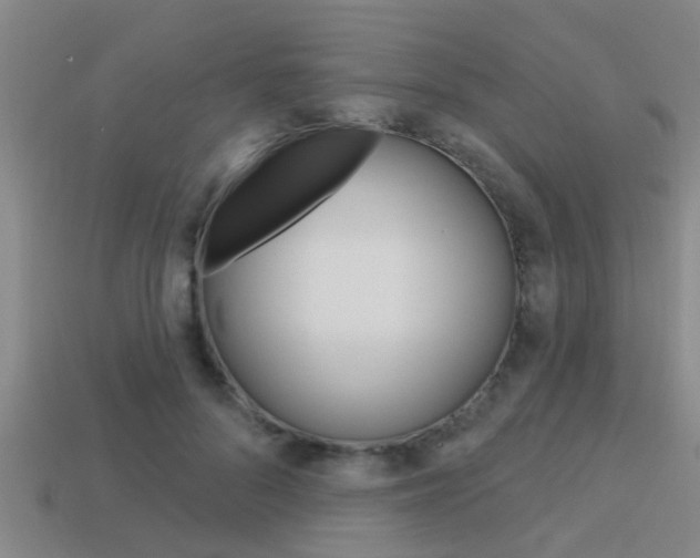 X0000113300696200909140945
