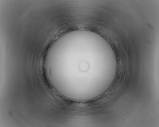 X0000113300698200909140945
