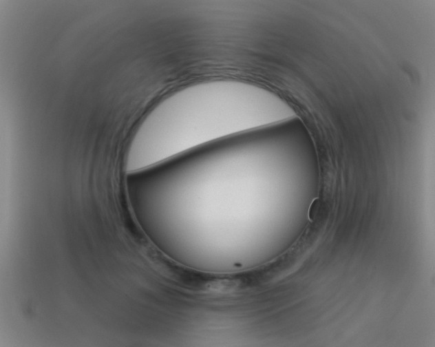 X0000113300700200909140945