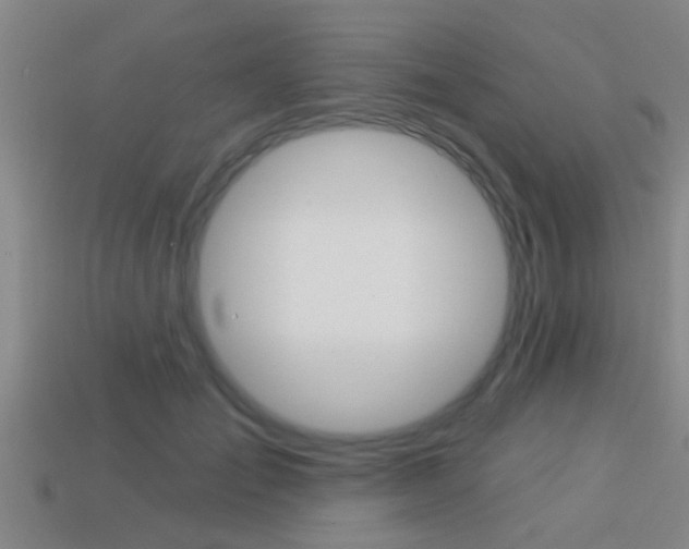 X0000113300701200909140945