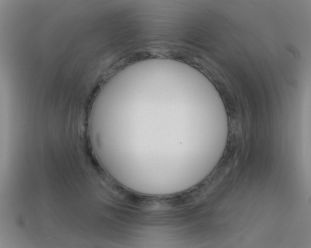 X0000113300702200909140945
