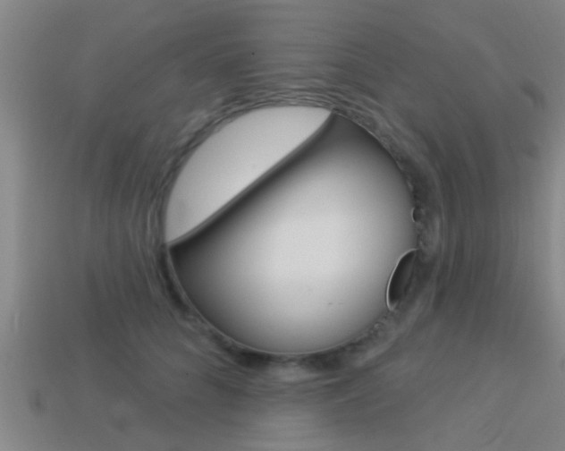 X0000113300704200909140945