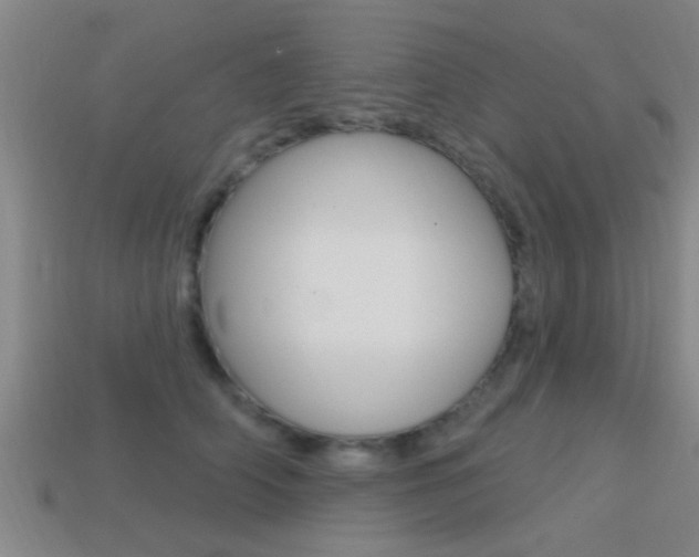 X0000113300706200909140945