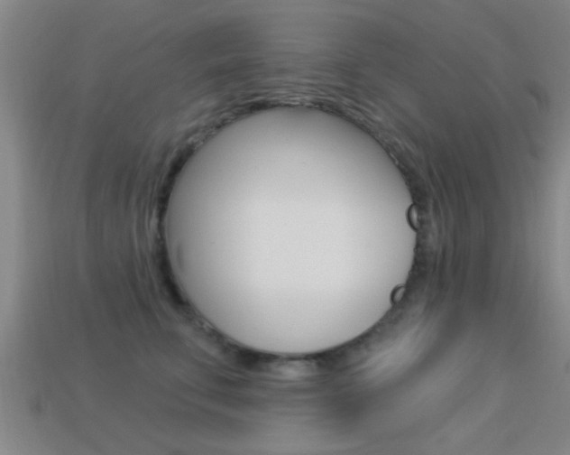 X0000113300711200909140945