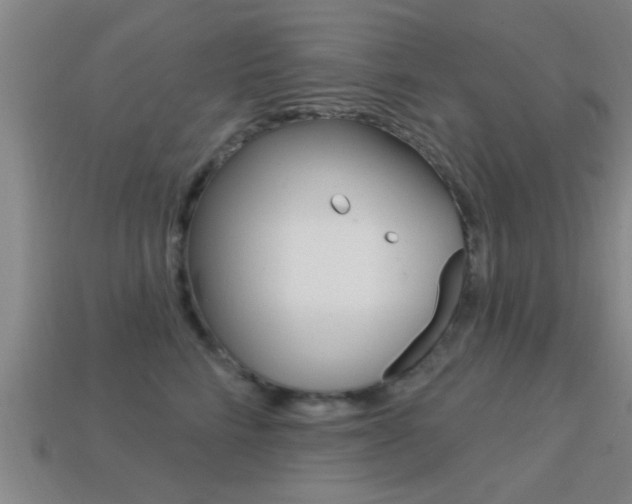 X0000113300712200909140945