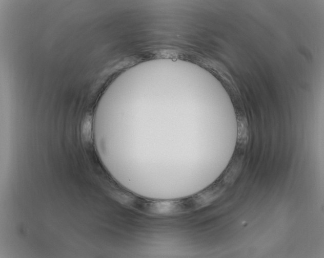 X0000113300717200909140945