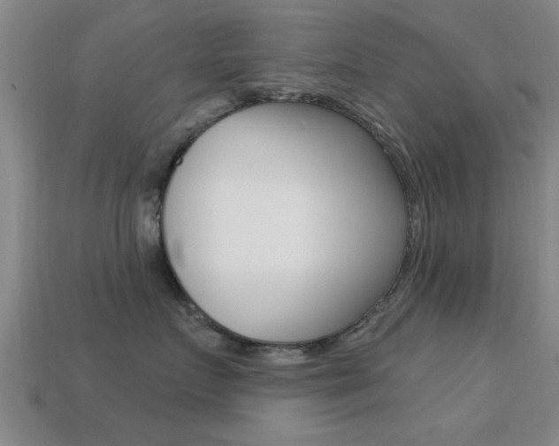 X0000113300719200909140945