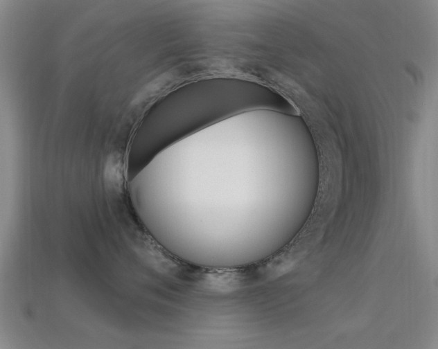 X0000113300720200909140945