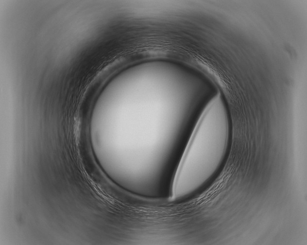 X0000113300722200909140945