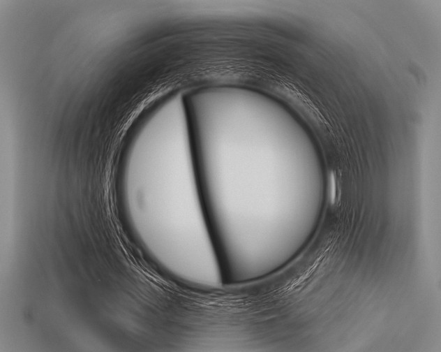 X0000113300723200909140945