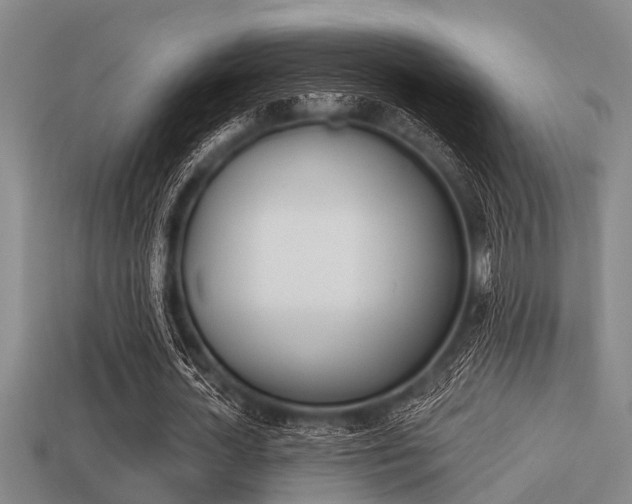 X0000113300724200909140945