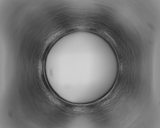 X0000113300725200909140945