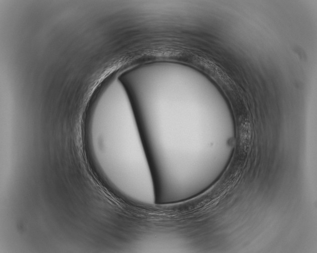 X0000113300727200909140945