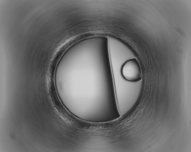 X0000113300728200909140945