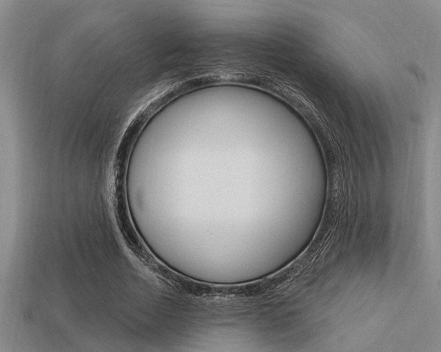 X0000113300730200909140945