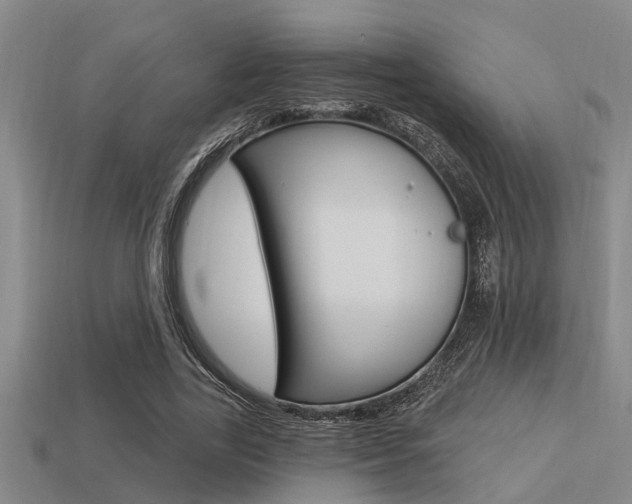 X0000113300731200909140945
