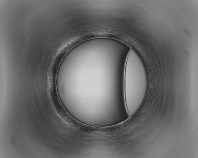 X0000113300732200909140945